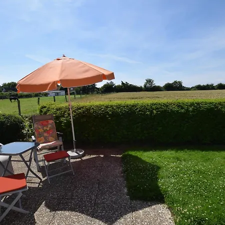 Specht - Sommerhaus